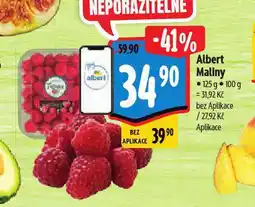 Albert Maliny nabídka