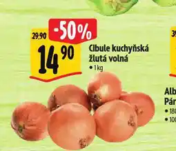 Albert Cibule kuchyňská žlutá nabídka
