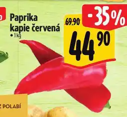 Albert Paprika kapie nabídka