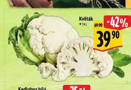 Albert Květák nabídka