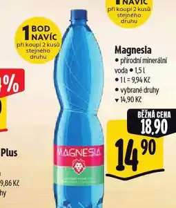 Albert Magnesia nabídka