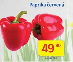 Kubík potraviny Paprika červená nabídka