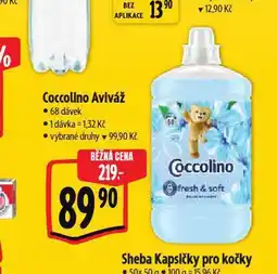 Albert Coccolino aviváž nabídka