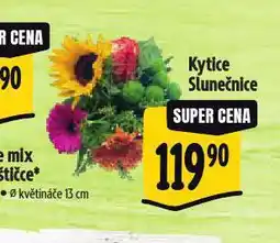 Albert Kytice slunečnice nabídka