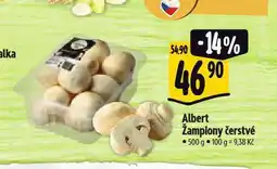 Albert Žampiony nabídka