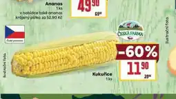 Billa Kukuřice nabídka