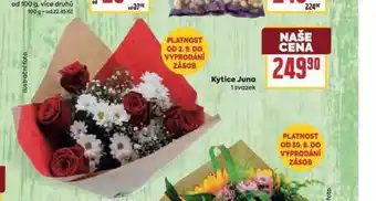 Billa Kytice juna nabídka