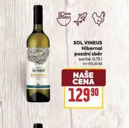 Billa Sol vineus hibernal nabídka