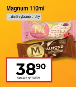 Hruška MAGNUM nabídka