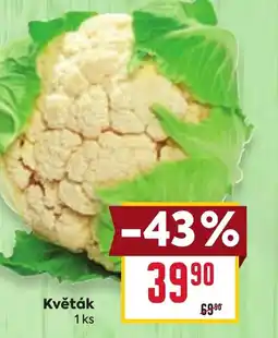 Billa Květák nabídka