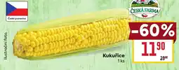 Kukuřice