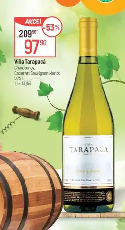 Globus VIÑA TARAPACA nabídka