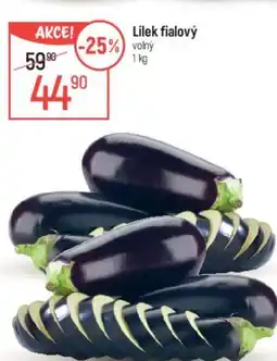 Globus Lilek Fialový nabídka