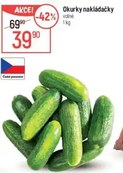 Globus Okurky Nakládačky nabídka