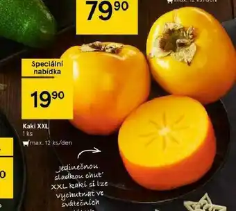 Tesco Kaki xxl nabídka