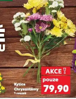 Kaufland Kytice Chryzantémy nabídka