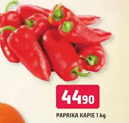 Trefa Paprika Kapie nabídka