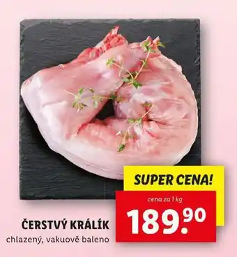 Lidl Čerstvý králík nabídka