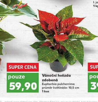 Kaufland Vánoční hvězda zdobená nabídka