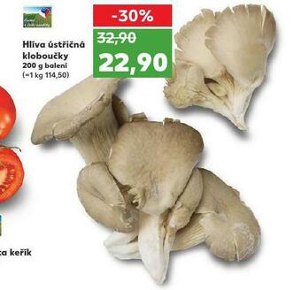 Kaufland Hlíva ústřičná nabídka