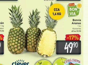 Billa Ananas nabídka