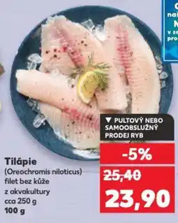 Kaufland Tilápie nabídka
