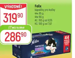 Globus FELIX nabídka