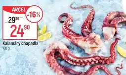 Globus Kalamáry chapadla nabídka