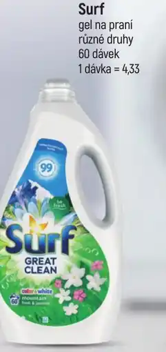 Globus SURF nabídka