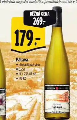 Albert Pálava nabídka
