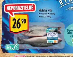 Albert Mořský vlk nabídka