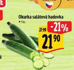 Albert Okurka salátová hadovka nabídka