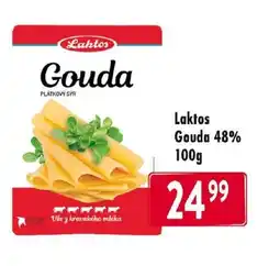 Qanto LAKTOS Gouda 48% nabídka
