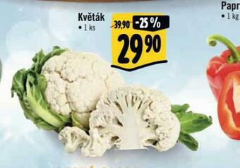 Albert Květák nabídka