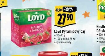 Albert Loyd pyramidový čaj nabídka
