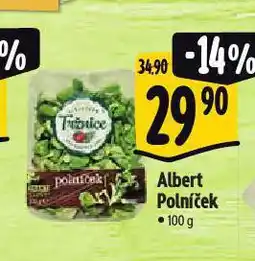 Albert Polníček nabídka