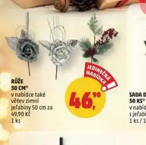 Penny Market Růže 30 cm nabídka
