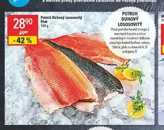 Globus Pstruh duhový lososovitý nabídka