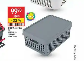Globus Oho úložný box nabídka
