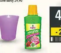 Globus Hnojivo pro orchideje nabídka