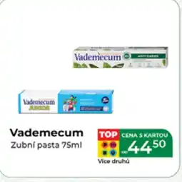 Tamda Foods VADEMECUM nabídka