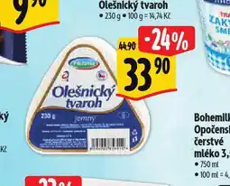 Albert Olešnický tvaroh nabídka
