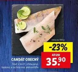 Lidl Candát obecný nabídka