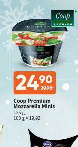 Terno Mozzarella minis nabídka