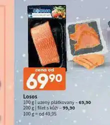 Losos
