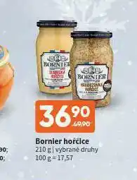 Terno Bornie hořčice nabídka