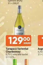 Terno Tarapacá varietal chardonnay nabídka