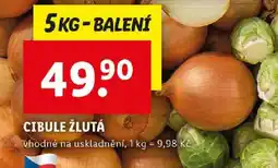 Lidl Cibule žlutá nabídka