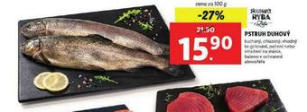 Lidl Pstruh duhový nabídka