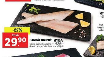 Lidl Candát obecný nabídka